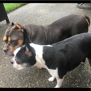 Meet your Posher, Jaymen